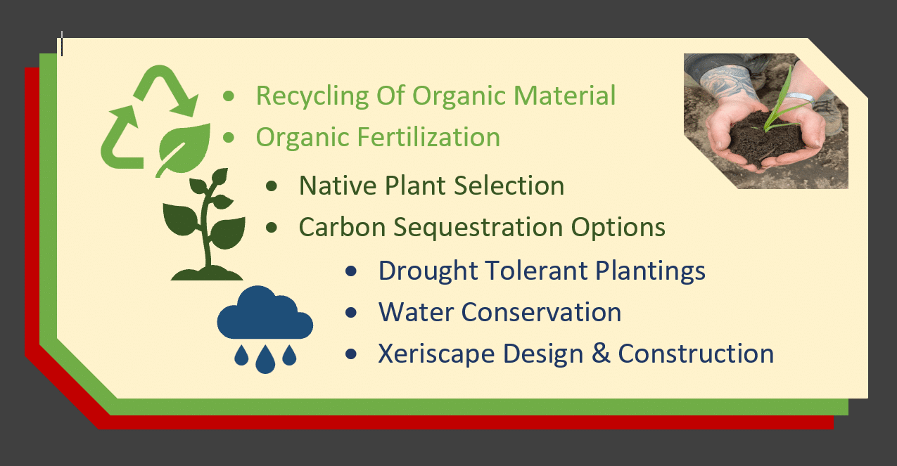 Planet friendly landscape options