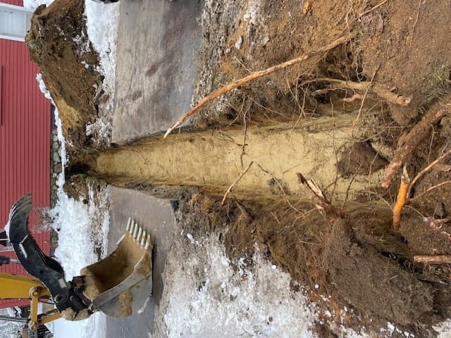 Trenching done right